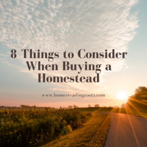 Buying a Homestead