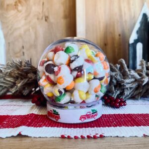 Rainbow Crunch Snow Globe Ornament